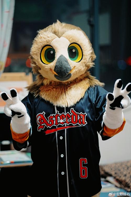 致敬米卢的贡献！官方：U17世界杯公布吉祥物沙漠猫头鹰BOMA