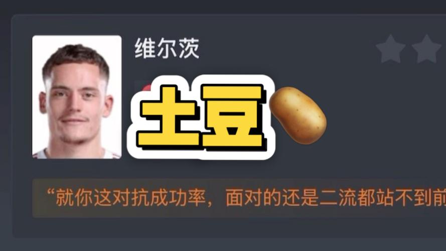 土豆你在干什么！维尔茨过顶长传直接传出边线，随后赶紧抬手抱歉