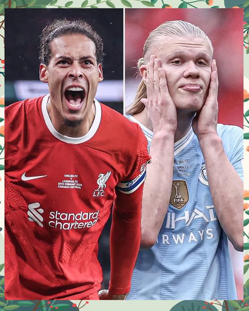 whoscored世欧预最佳阵：范戴克、哈兰德领衔，厄德高、丁丁在列